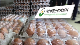 '달걀값 상승' 담합 조사…공급 확대 추진